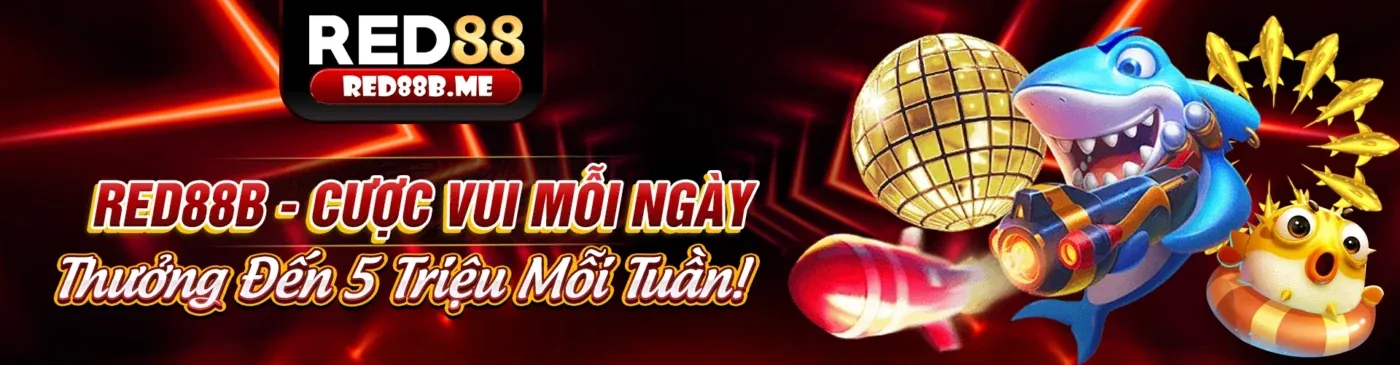 Hình ảnh giới thiệu về FD88 link mới, nền tảng cá cược trực tuyến uy tín